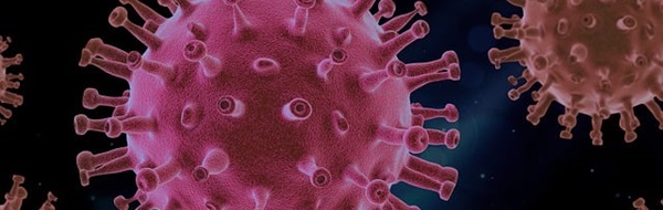 Emission spéciale: COVID, 4 ans plus tard. La défiance à la science.