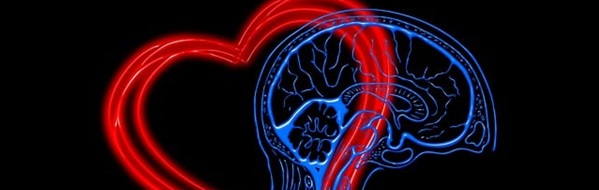 Entretien: qu'est-ce que l'intelligence émotionnelle et à quoi sert-elle?