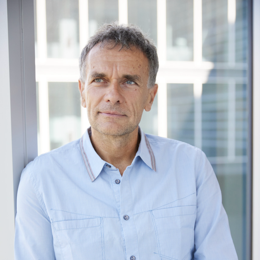 Prof. Luc Mallet