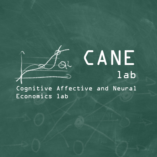 COGNITIVE AFFECTIVE AND NEURAL ECONOMICS LAB